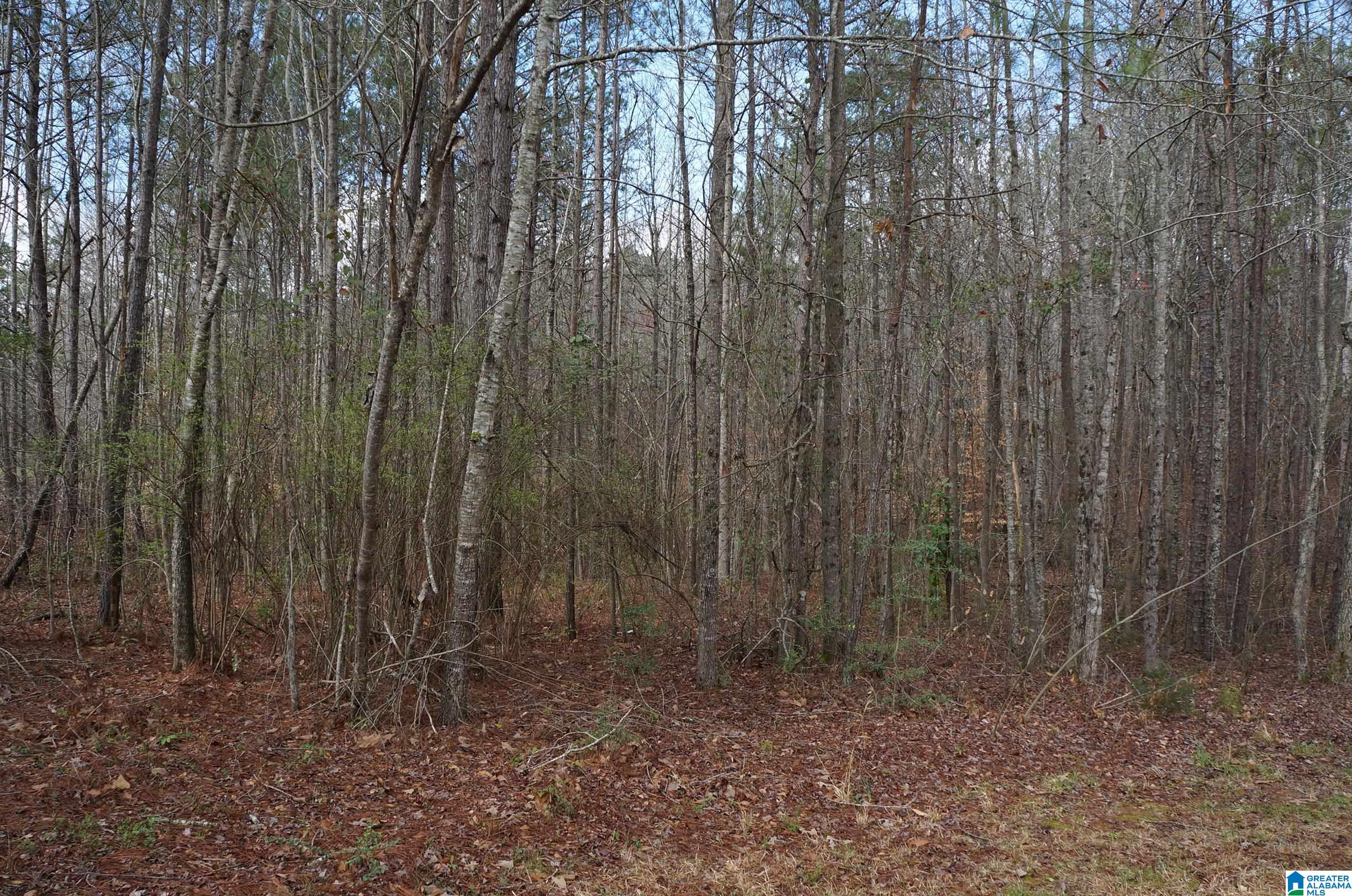 0 Pebble Point, Unit 6 Sylacauga, AL 35151 - Photo 6 of 8