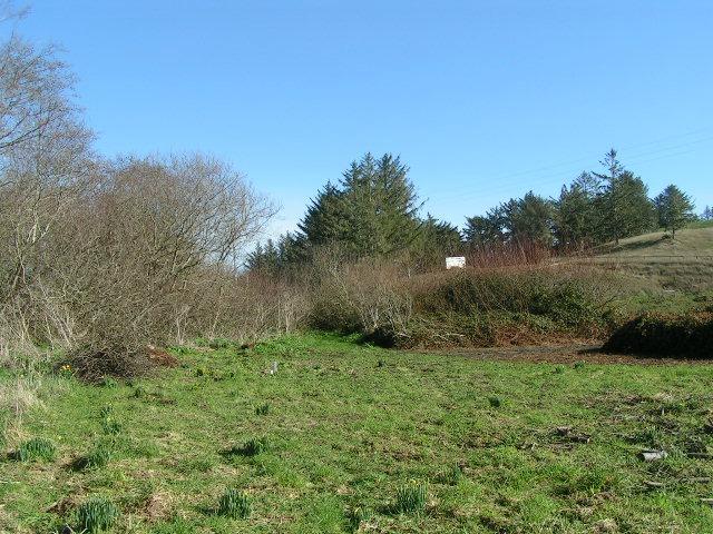 3-miles Out Centerville Road Ferndale, CA 95536 - Photo 8 of 10 Looking East