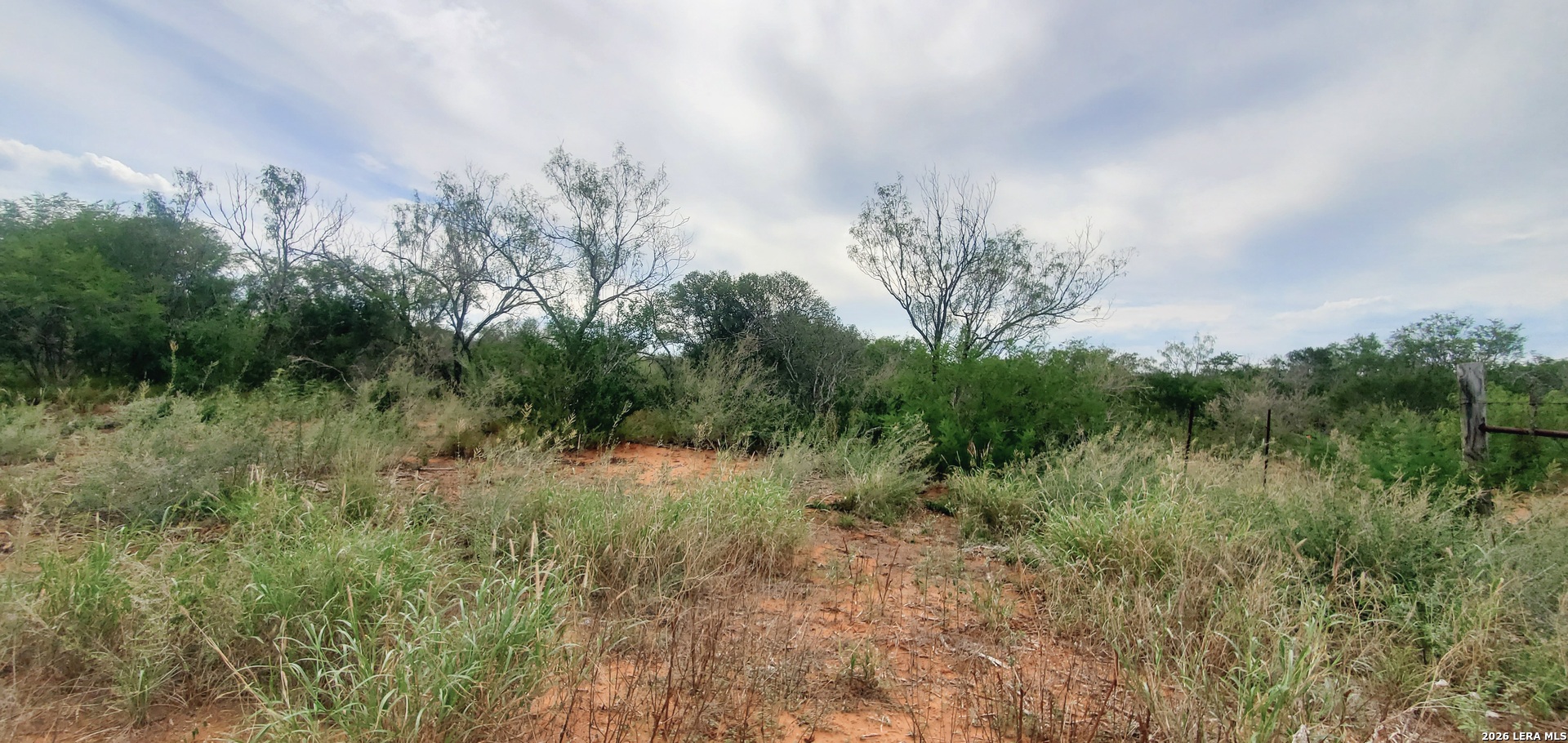 a view of a field