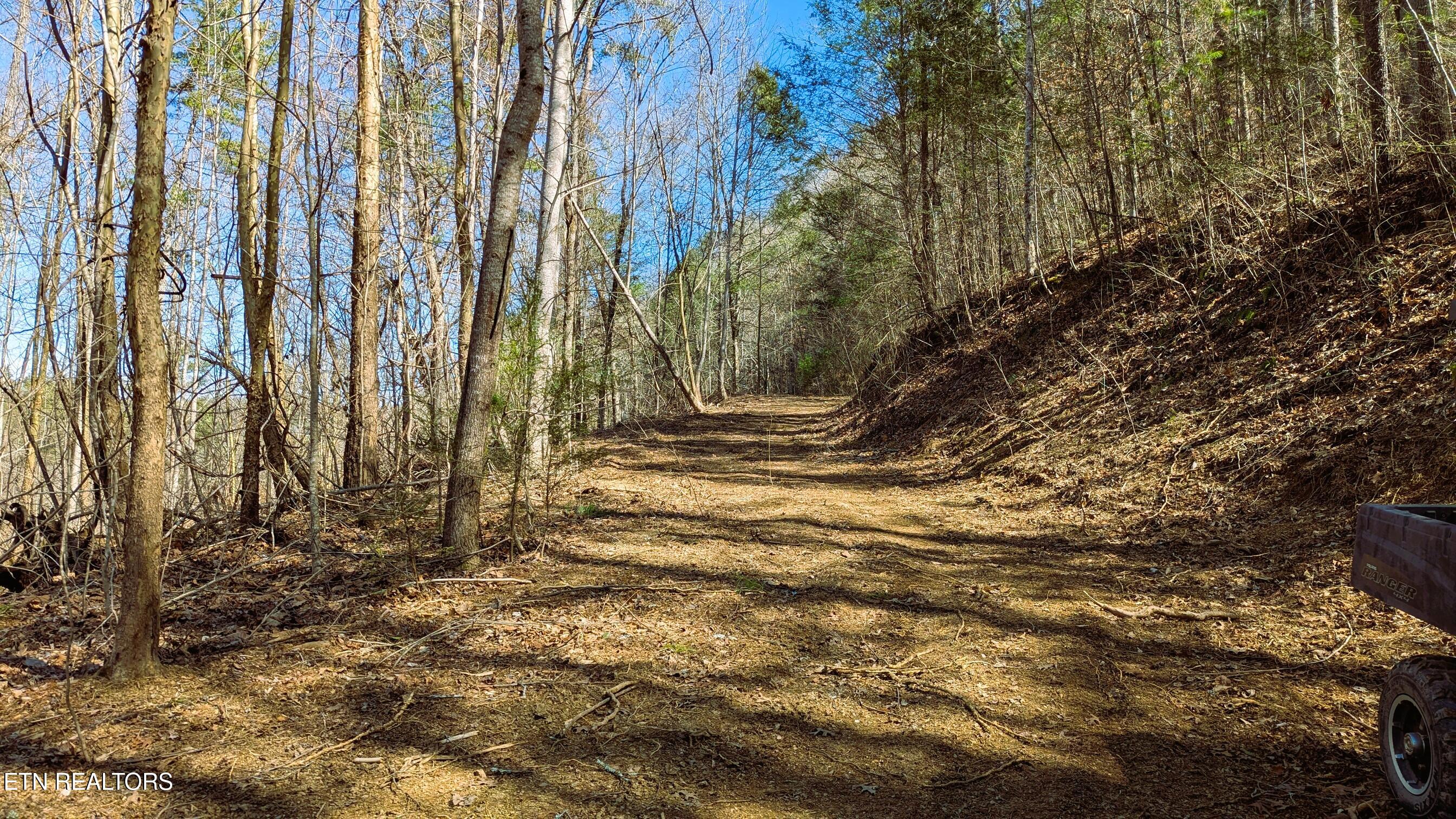 14 Acres Road Townsend, TN 37882 - Photo 6 of 13 Road up to building spots