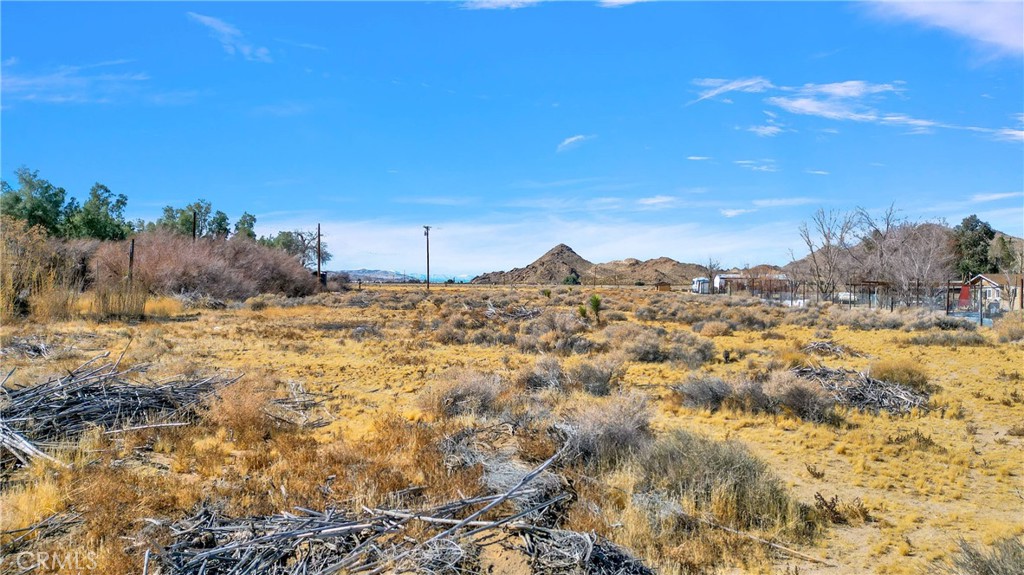 0 Kendall Road Lucerne Valley, CA 92356 - Photo 4 of 21 a view of a yard