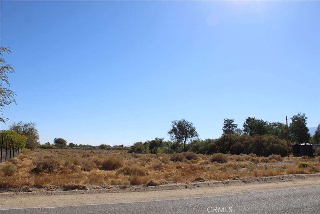 0 Kendall Road Lucerne Valley, CA 92356 - Photo 10 of 21 a view of a dry yard with a tree