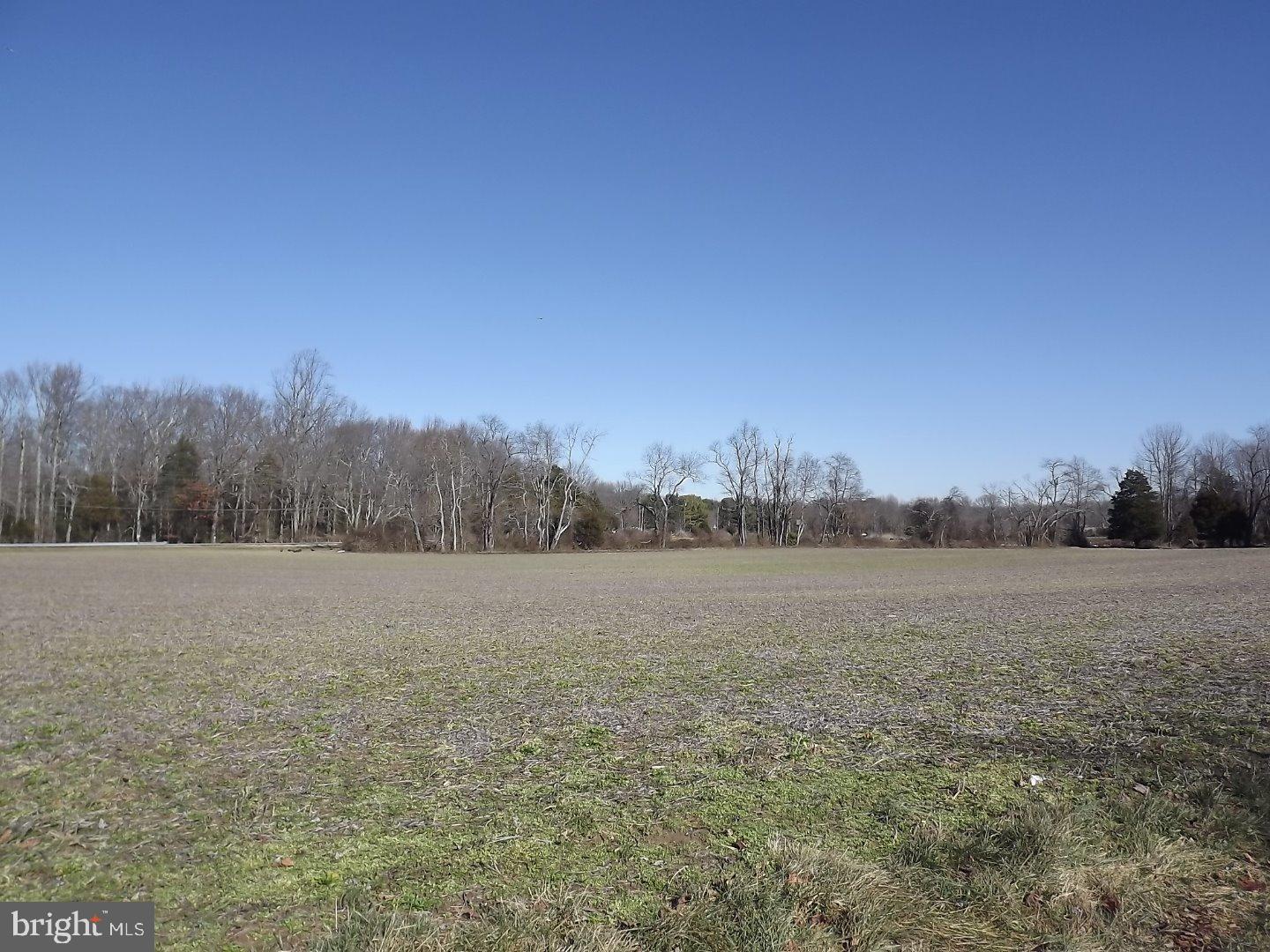0 Remsterville Road Woodstown, NJ 08098 - Photo 3 of 5 Gallery Image 3