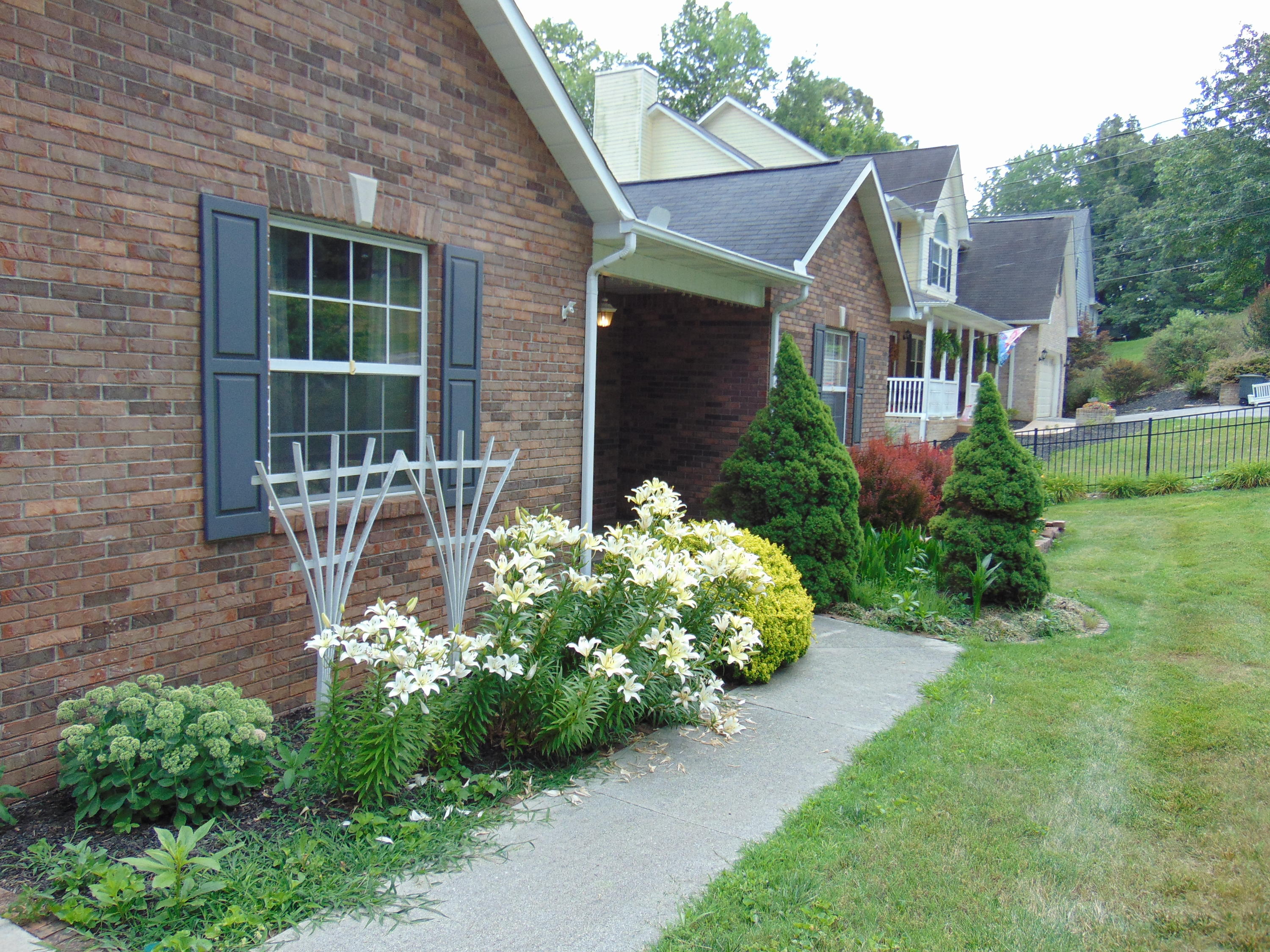 708 Timbercrest Drive Clinton, TN 37716 - Photo 4 of 36 DSC00723