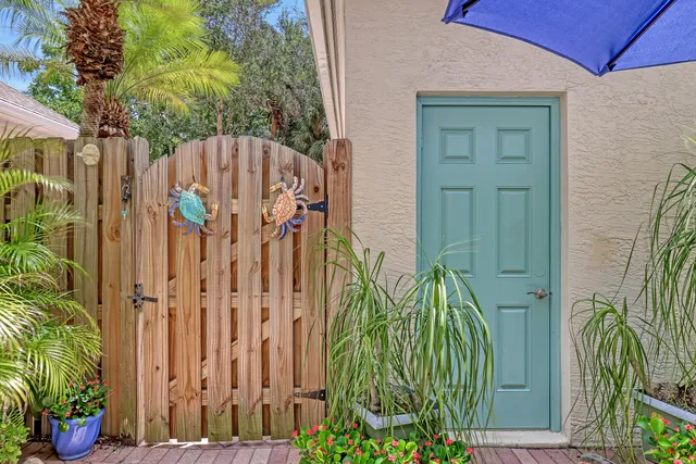 a view of a garden with a plants