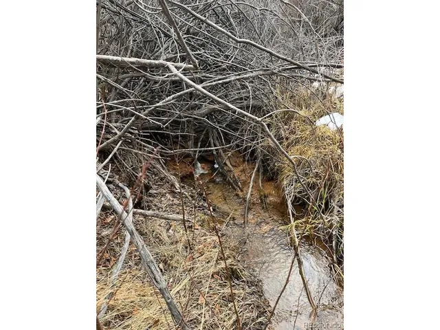 a close up of a shower in a bathroom