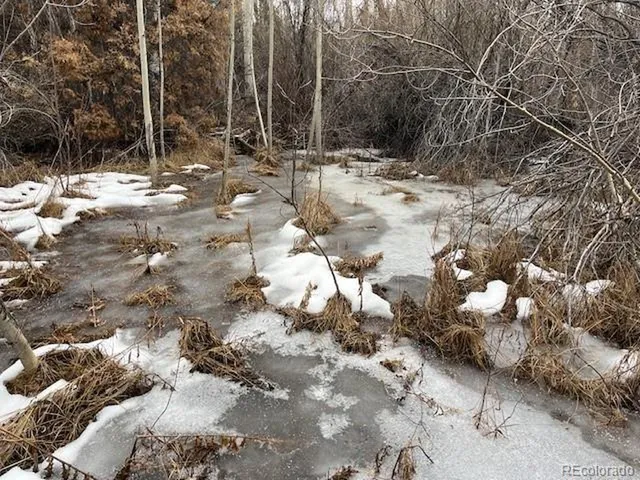 a view of snow on side of road