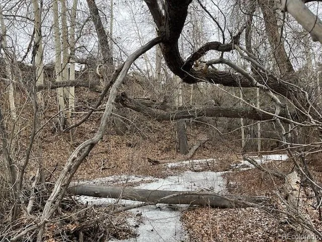 a backyard of a house