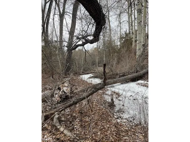 a view of a backyard of the house