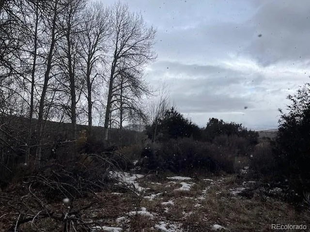 a view of outdoor space and yard