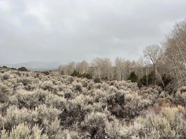 a view of a covered with snow in the background