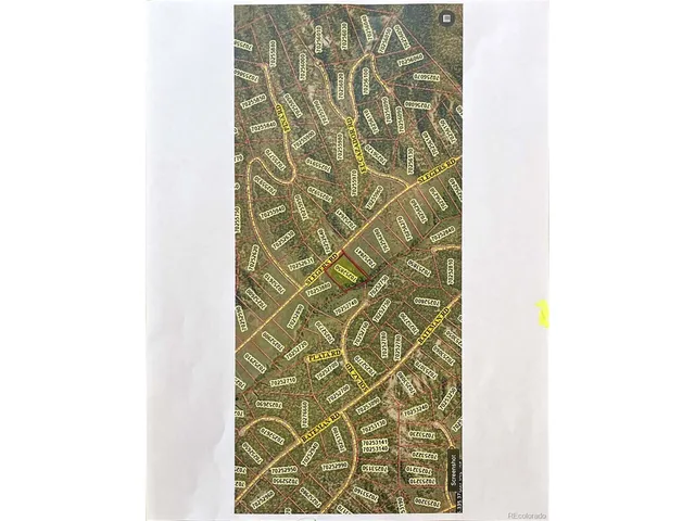 a bathroom with a shower and a window