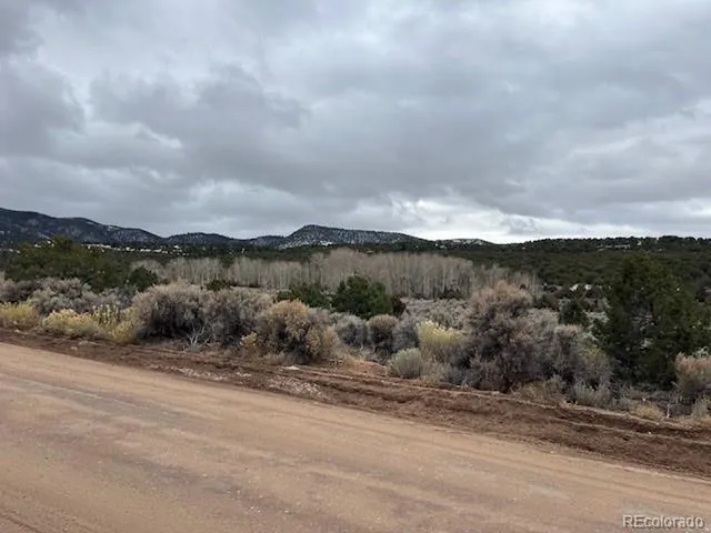 a view of a dry yard with wooden fence