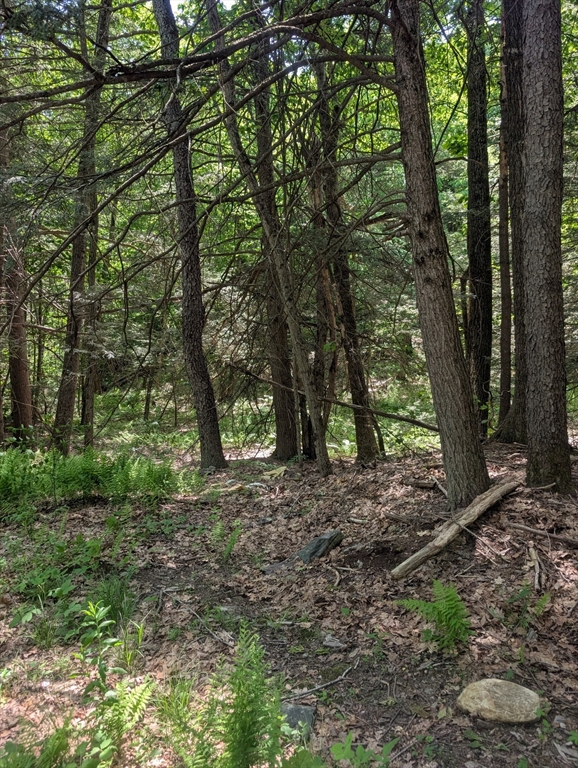 127 Round Hill Road Chester, MA 01011 - Photo 6 of 10