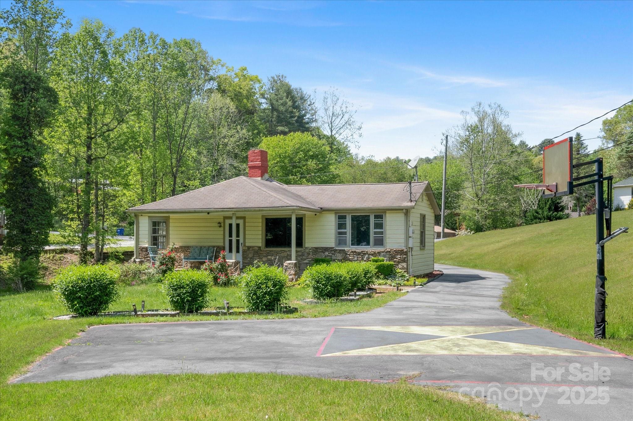 35 Homeway Road Asheville, NC 28806 - Photo 5 of 32 a view of a garden with a plants and trees