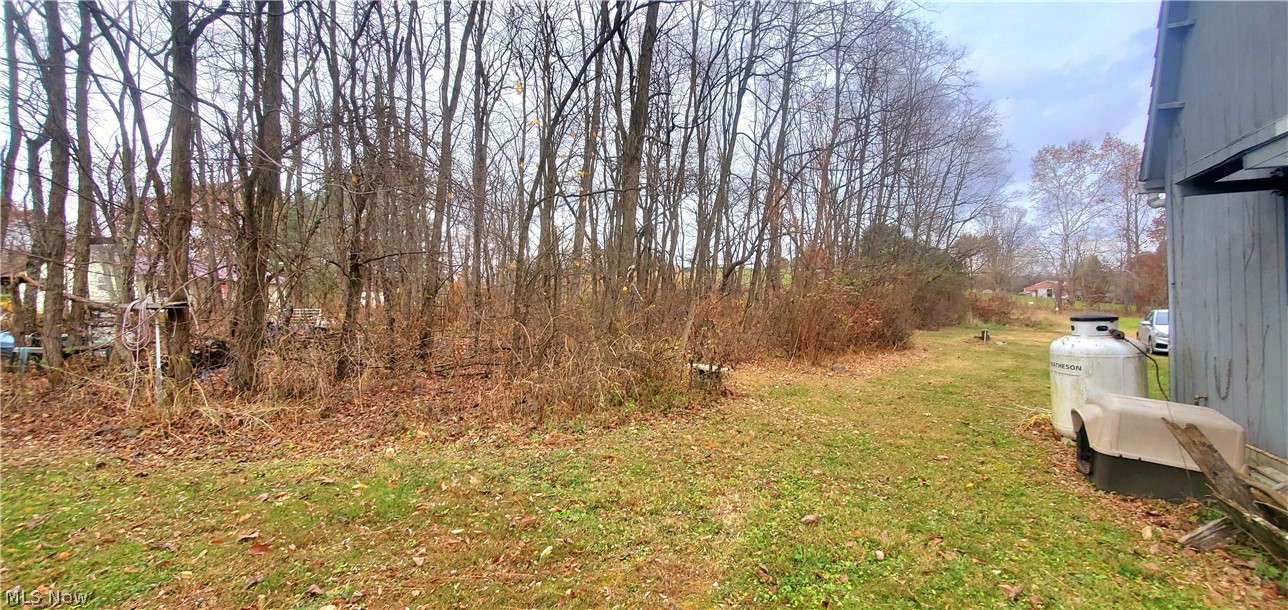 18640 Sugartree Road Freeport, OH 43973 - Photo 19 of 33