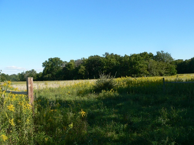 195 Blue Heron Road Lacon, IL 61540 - Photo 1 of 4