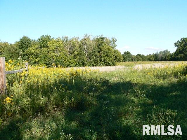 195 Blue Heron Road Lacon, IL 61540 - Photo 3 of 4