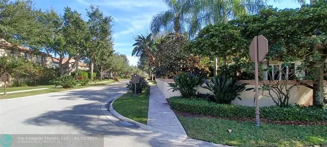 a view of a park with plants and trees