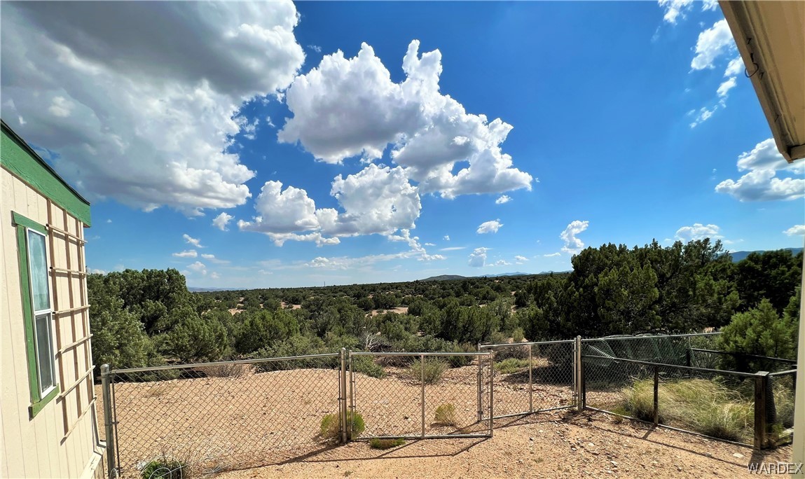 2336 South Rease Road Kingman, AZ 86401 - Photo 11 of 41 View of yard