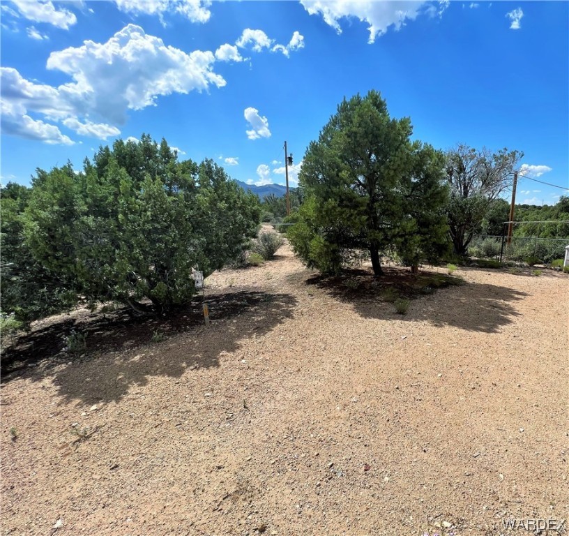 2336 South Rease Road Kingman, AZ 86401 - Photo 19 of 41 View of local wilderness