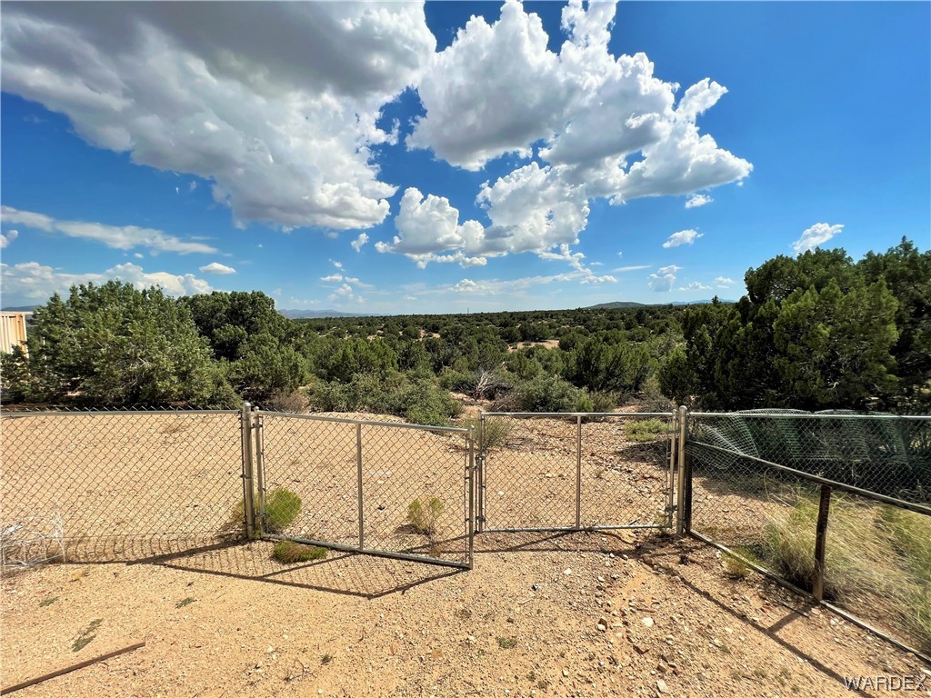 2336 South Rease Road Kingman, AZ 86401 - Photo 20 of 41 View of yard