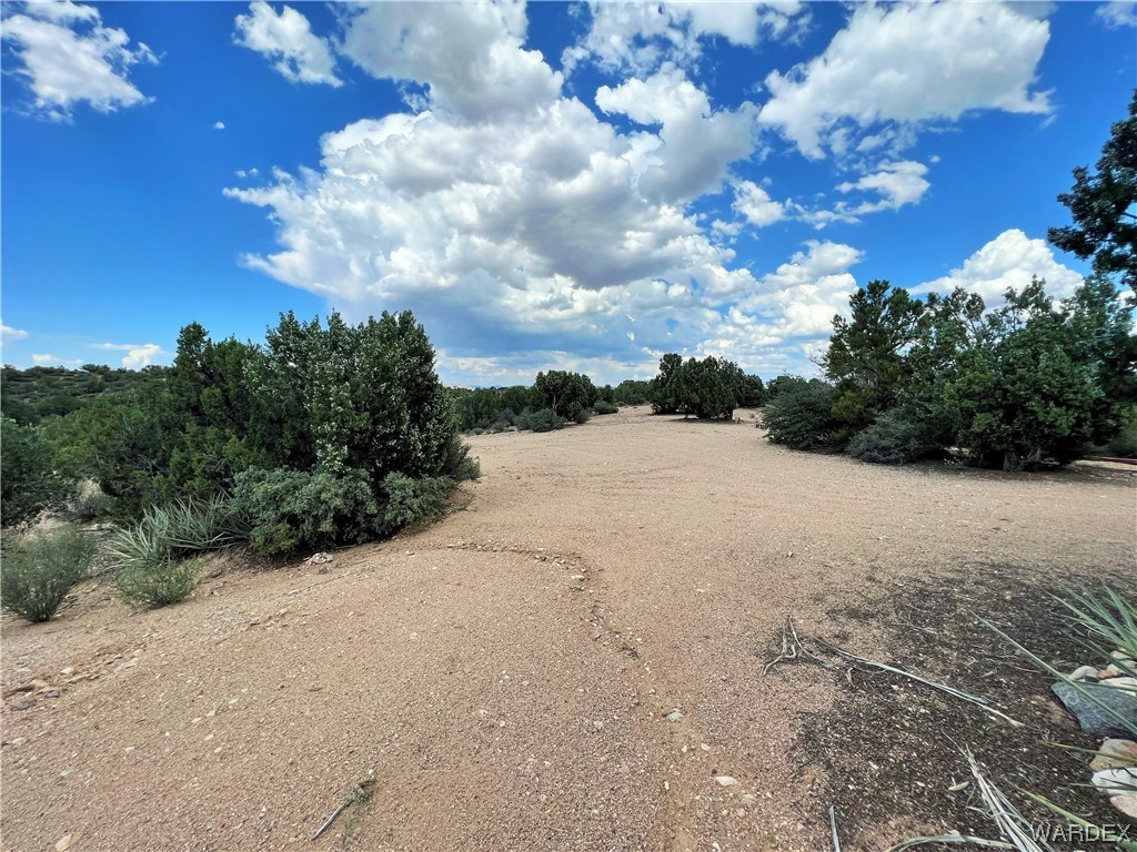 2336 South Rease Road Kingman, AZ 86401 - Photo 2 of 41 Other