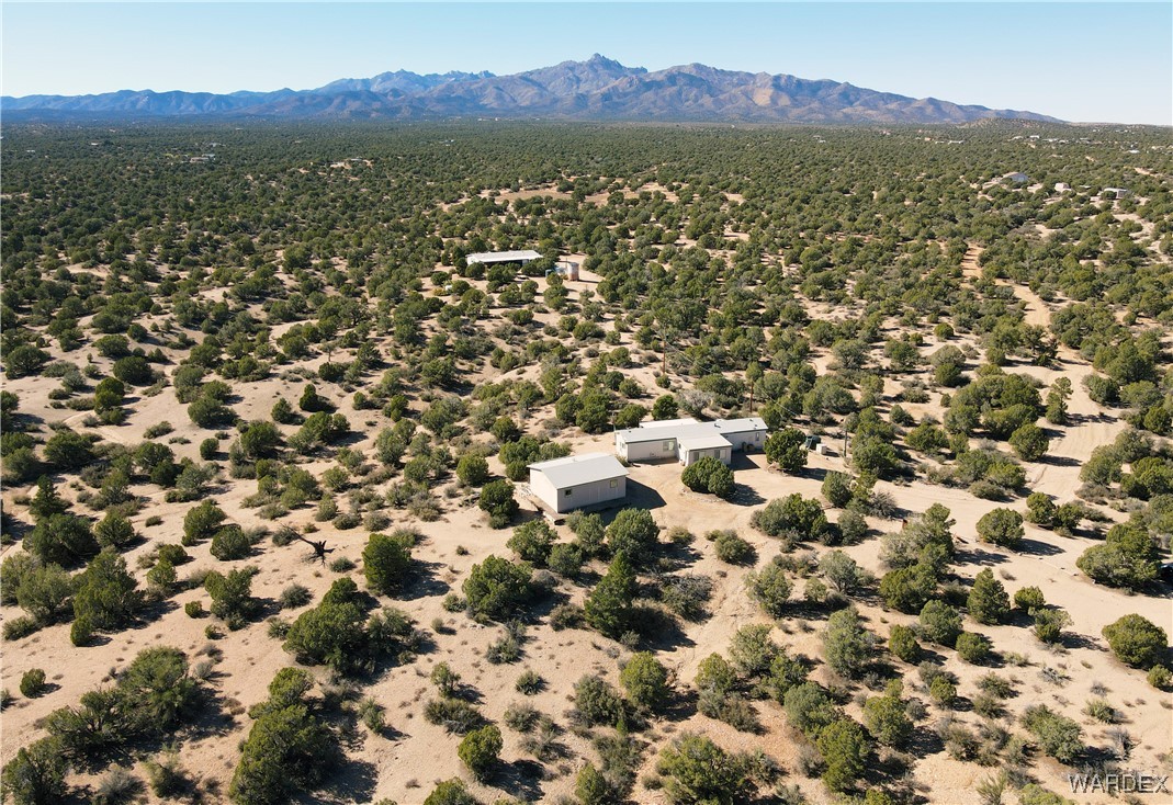 2336 South Rease Road Kingman, AZ 86401 - Photo 35 of 41 Drone / aerial view with a mountain view