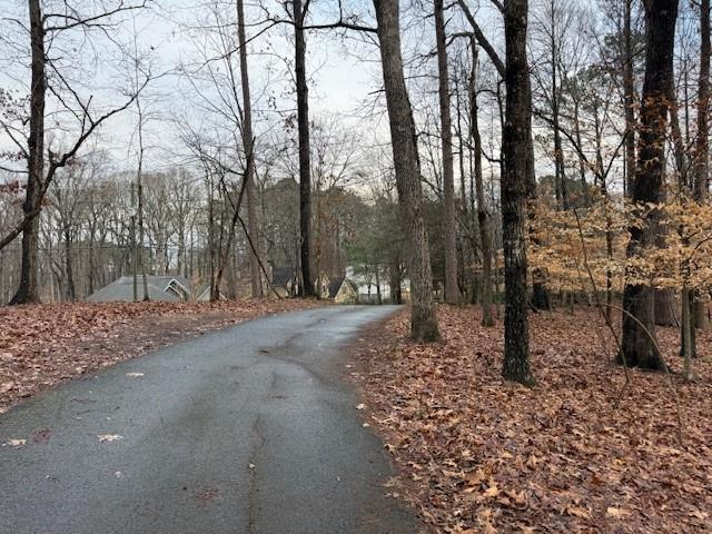 4570 Settles Bridge Road Suwanee, GA 30024 - Photo 13 of 21 a view of a forest filled with trees