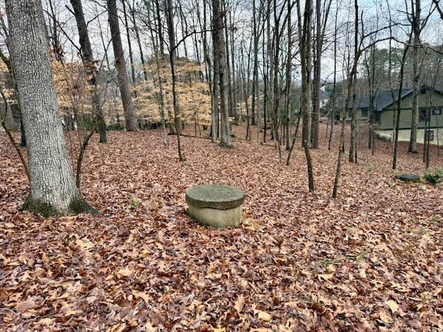 4570 Settles Bridge Road Suwanee, GA 30024 - Photo 15 of 20