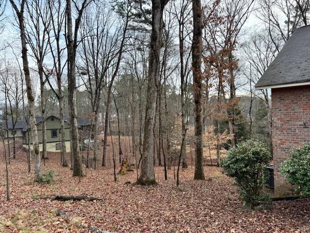 4570 Settles Bridge Road Suwanee, GA 30024 - Photo 15 of 21 a backyard of a house with lots of green space