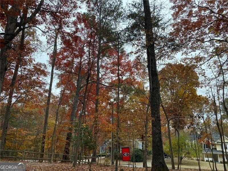 4570 Settles Bridge Road Suwanee, GA 30024 - Photo 18 of 20