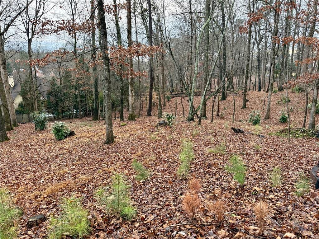 4570 Settles Bridge Road Suwanee, GA 30024 - Photo 9 of 21 a view of a yard with a tree