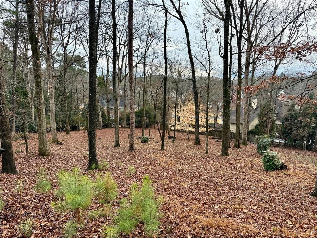 4570 Settles Bridge Road Suwanee, GA 30024 - Photo 10 of 21 a backyard of a house with lots of green space