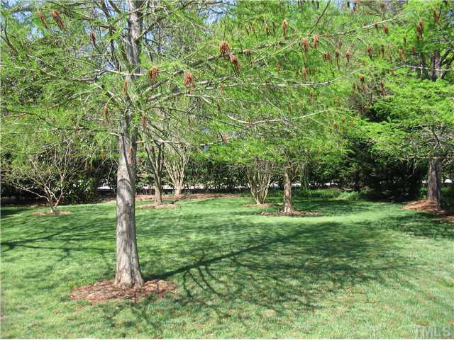 613 Lake Boone Trail Raleigh, NC 27608 - Photo 17 of 18 A view of the expansive front lawn. The lot has an invisible dog fence. Yard