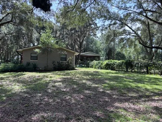 a view of flowers in a garden