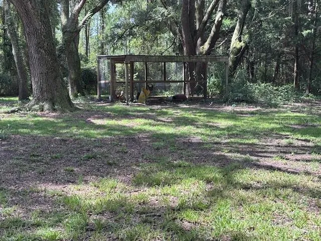 a view of a house with yard and a tree