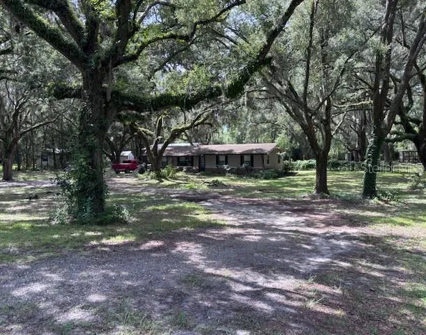 a view of a field with trees