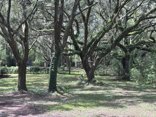 a view of outdoor space with green space