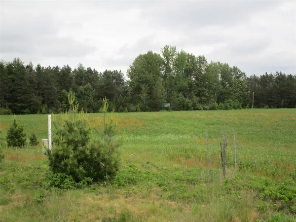 $65,000 | Xx River Pnes Drive, Ladysmith, WI 54848