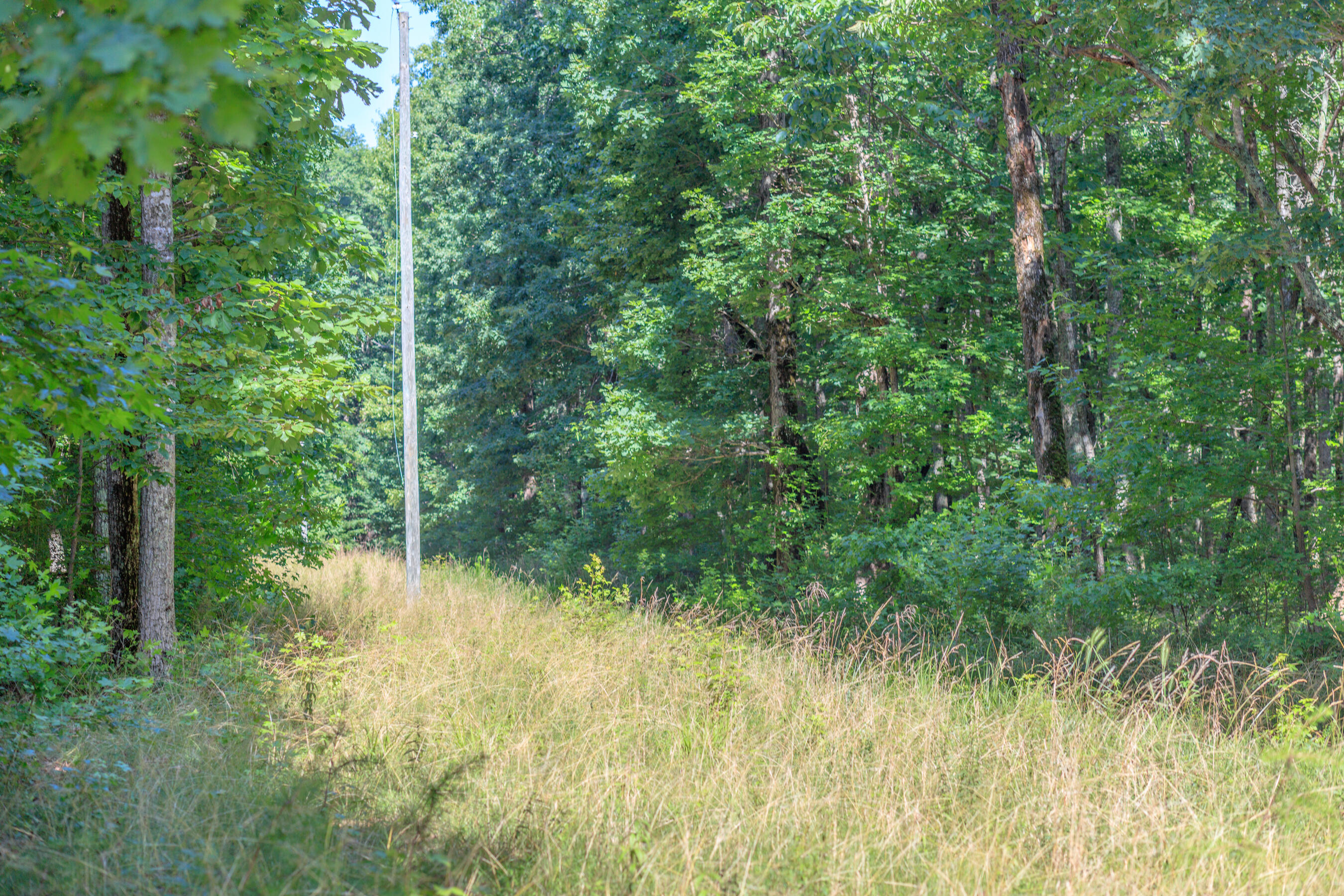 0 Hidden Brow Road Menlo, GA 30731 - Photo 9 of 12 Hidden Brow Acerage Level HD-7