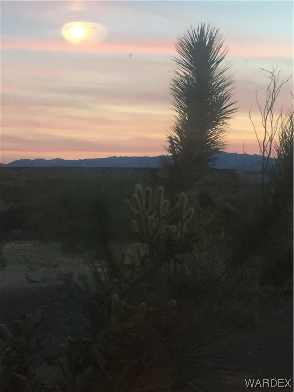 2102 South Wild Bill Road Yucca, AZ 86438 - Photo 12 of 14