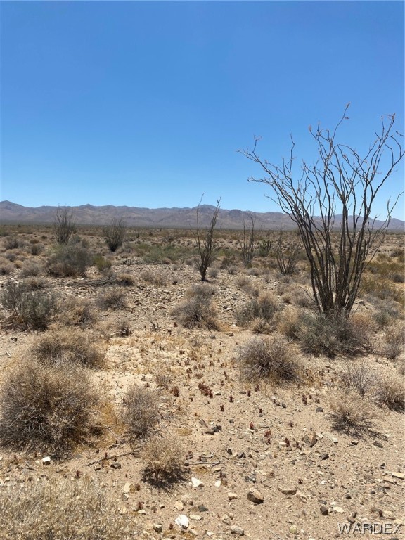 2102 South Wild Bill Road Yucca, AZ 86438 - Photo 3 of 14