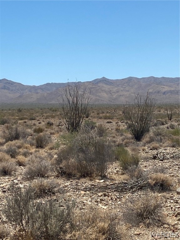 2102 South Wild Bill Road Yucca, AZ 86438 - Photo 5 of 14