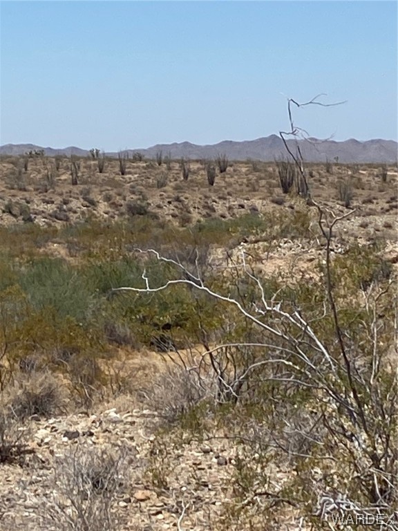 2102 South Wild Bill Road Yucca, AZ 86438 - Photo 7 of 14