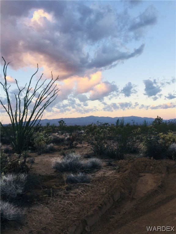 2102 South Wild Bill Road Yucca, AZ 86438 - Photo 10 of 14