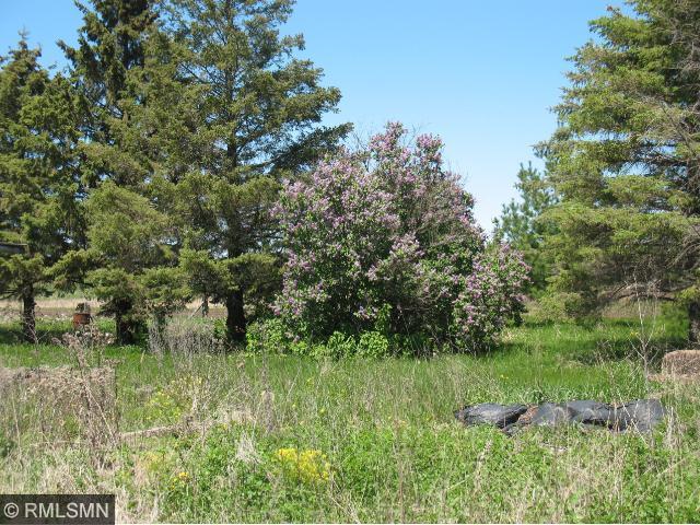 14715 School House Road Northeast Foley, MN 56329 - Photo 1 of 1 Gallery Image 1