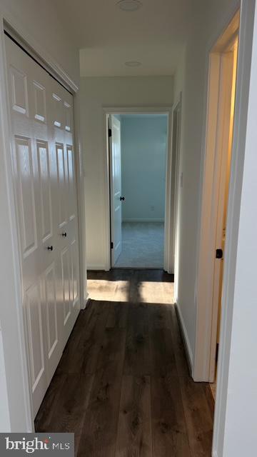 5313 Nutting Drive Springfield, VA 22151 - Photo 6 of 19