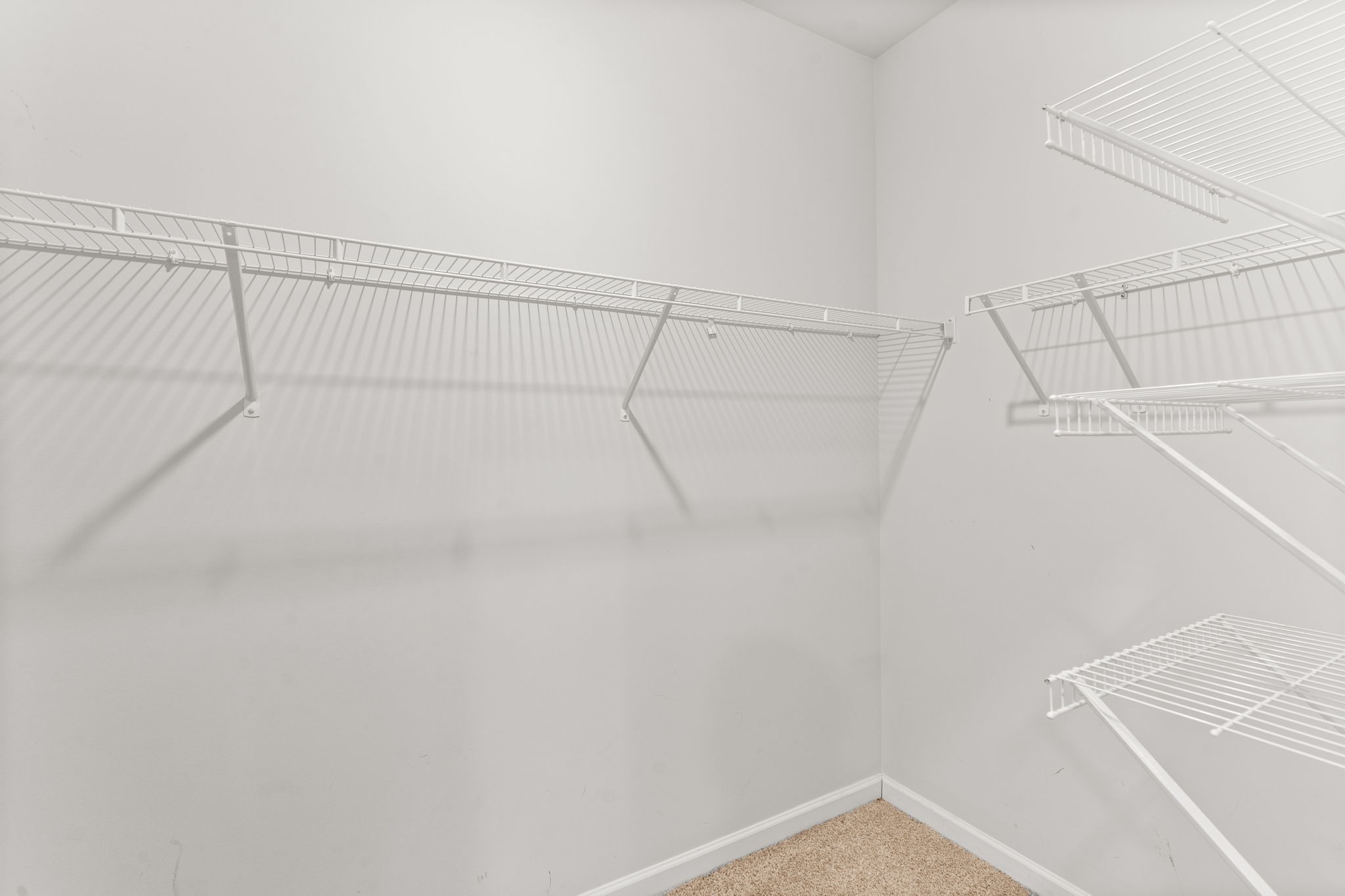 230 Willy Mae Road Murfreesboro, TN 37129 - Photo 11 of 23 a view of a room