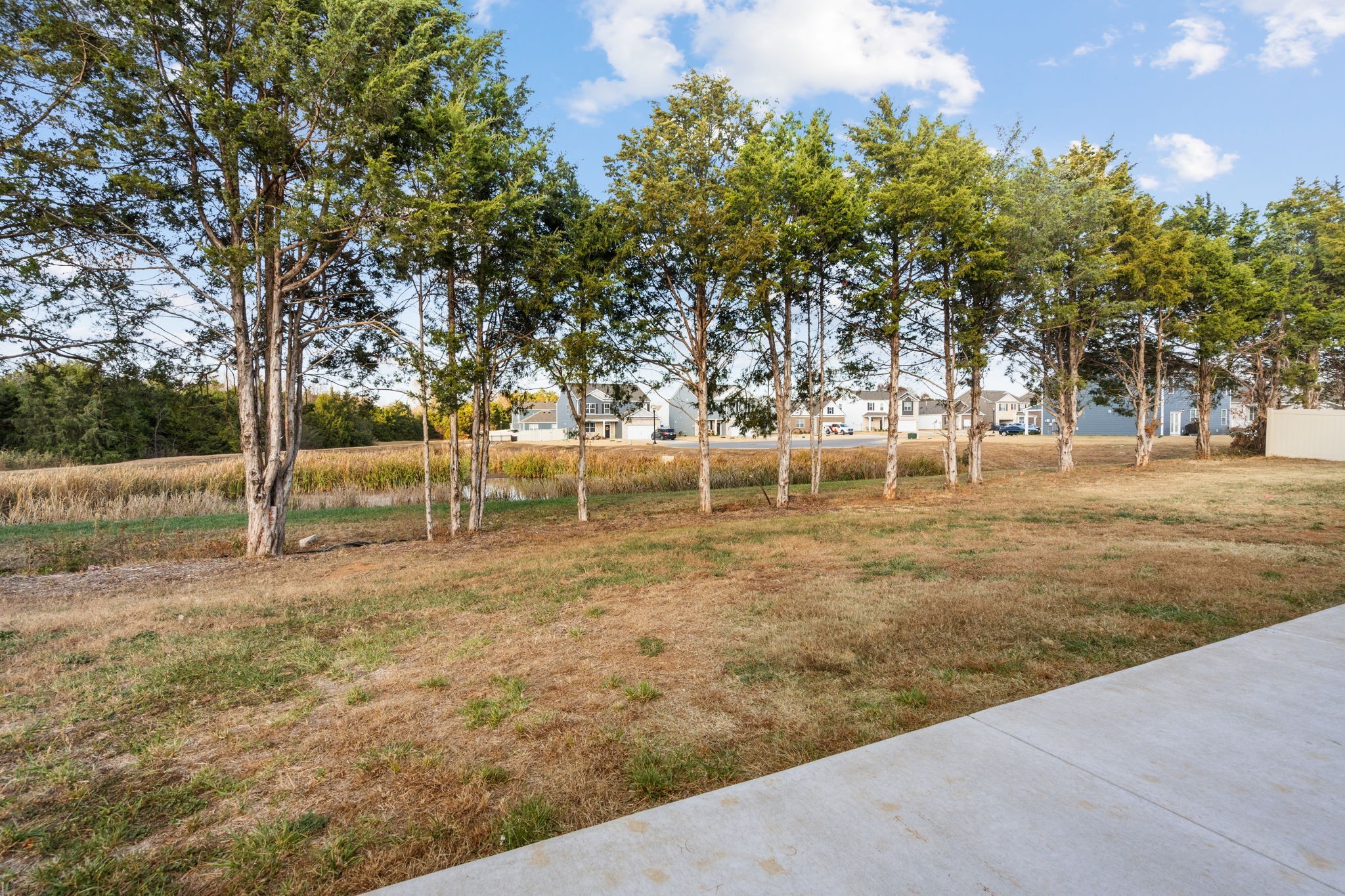 230 Willy Mae Road Murfreesboro, TN 37129 - Photo 23 of 23 a view of a yard with trees